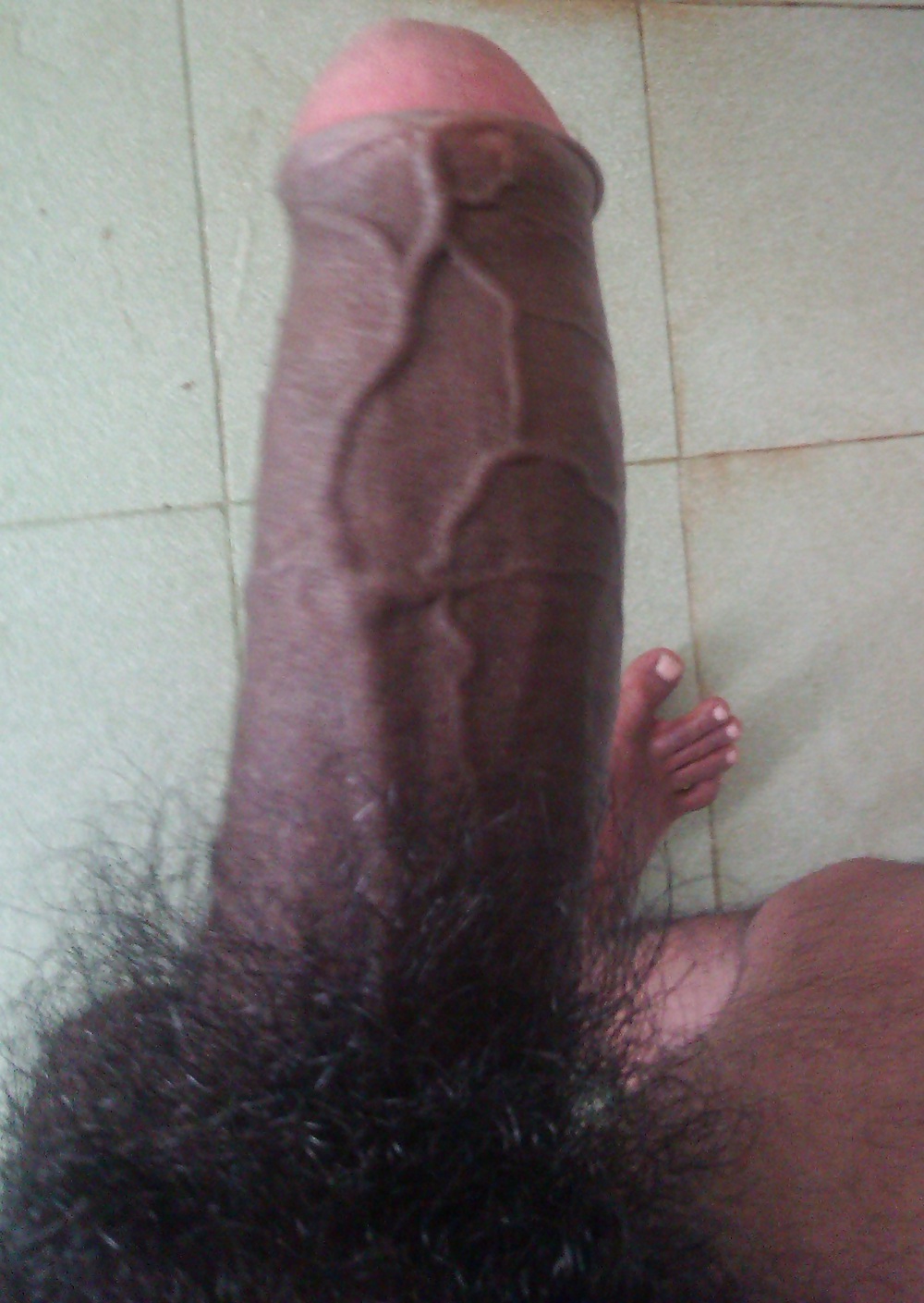 Nuevo poder wain 
 #17496968
