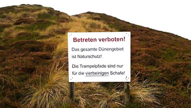 Einfach lachhaft
 #15396278