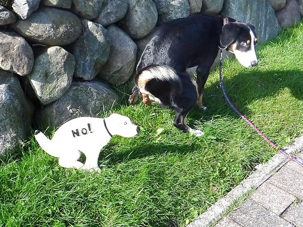 Einfach lachhaft
 #15396290