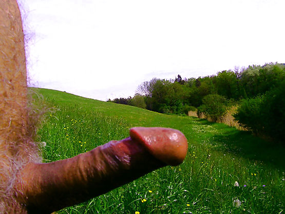 My cock in beautiful nature #18361674