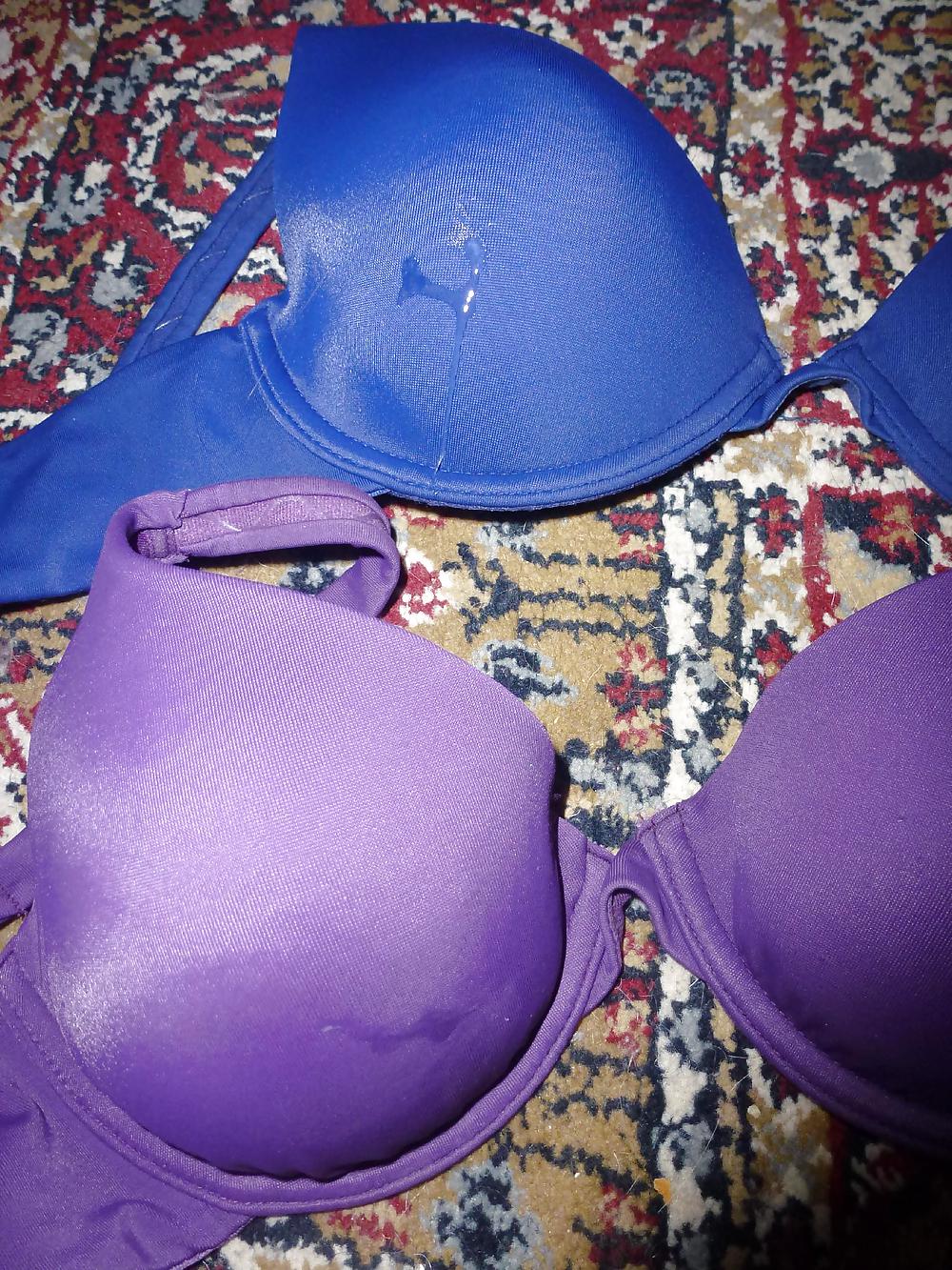 Sborrare sui reggiseni e sullo spazzolino di mia moglie
 #18269778