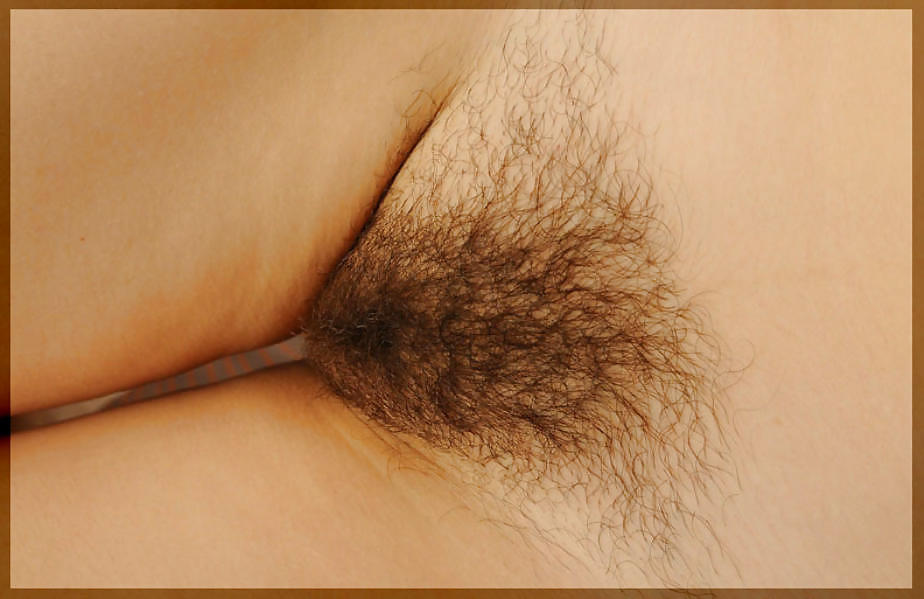 Only Hairy Pussy (Reloaded) #13392356