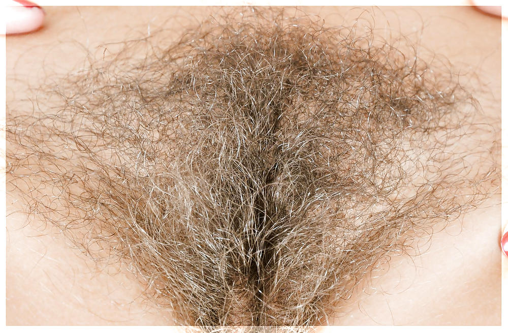 Only Hairy Pussy (Reloaded) #13392528