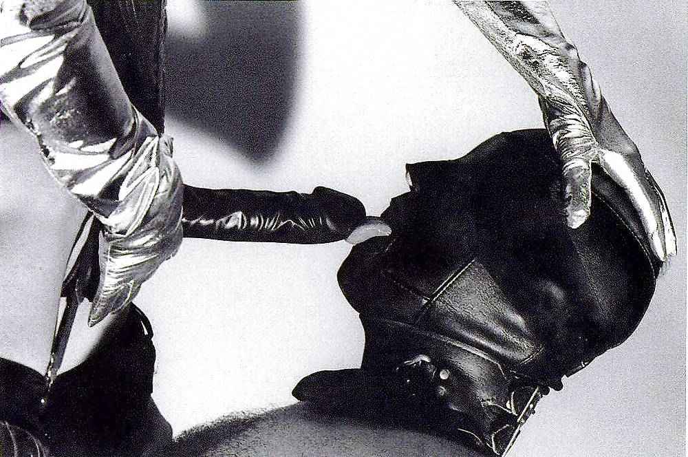 ローレンタウシュIV
 #11031977