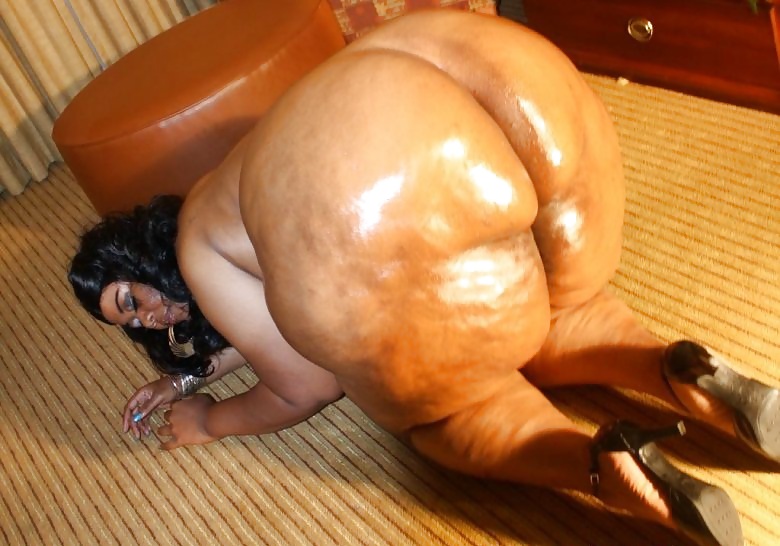 フェノミナル・ドンクス：スーパードーム
 #13723475