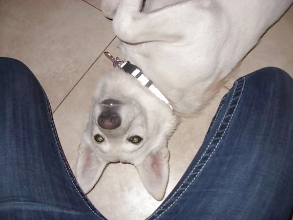 Bibi jones (by frankoooo) 3 #9548375