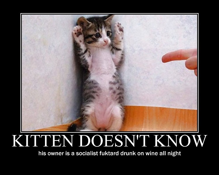The End Of A Kitten