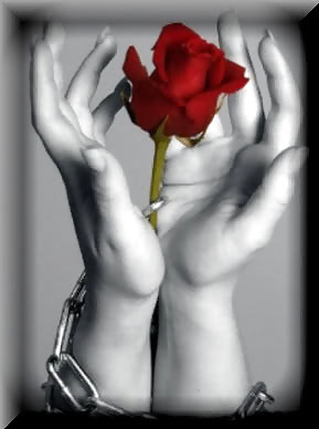 Lady in Crimson 10! #9563901