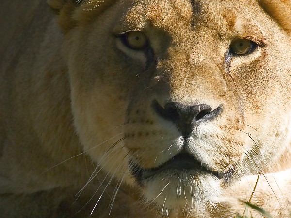 イントロダクション 
 #11678400