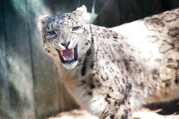 イントロダクション 
 #11678404