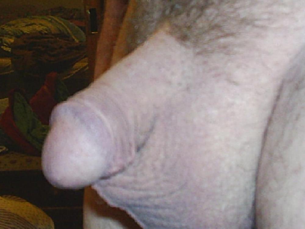 My Little Cock #8358106