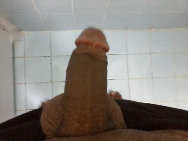 My cock #3878134