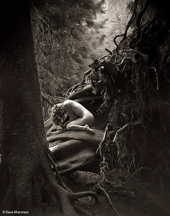 黒と白の927!
 #21324047