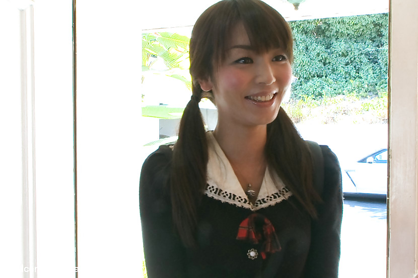 Marica hase
 #19306316