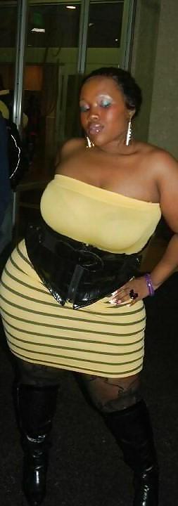Spicee Cajun #1539789