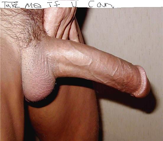 I love pussies #3728285