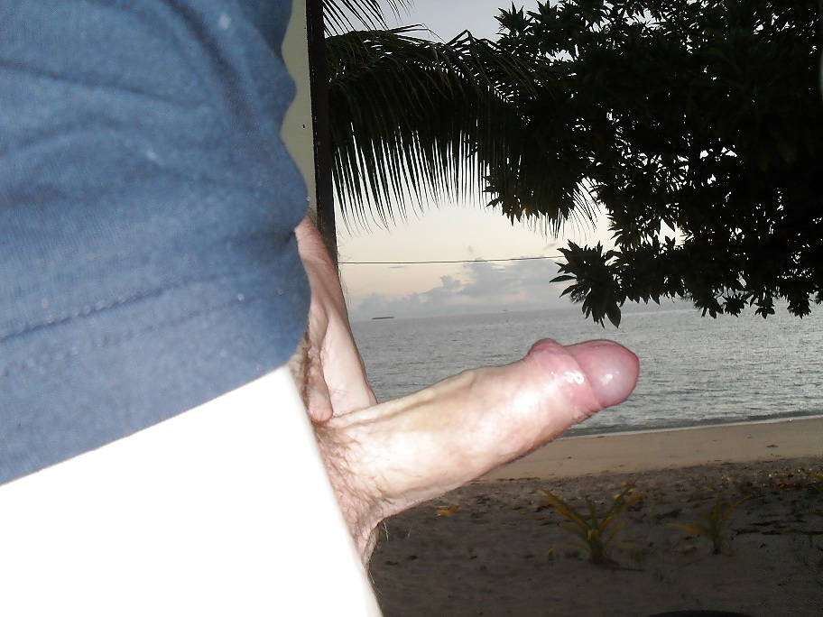 Holiday Beach Cock flash #6523430