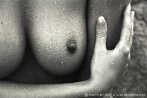 Pour elle 5
 #5399602