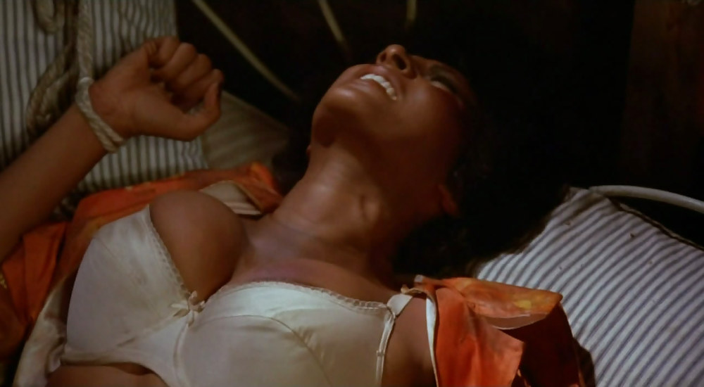 Pam Grier Ultimate Nude Collection #6318353