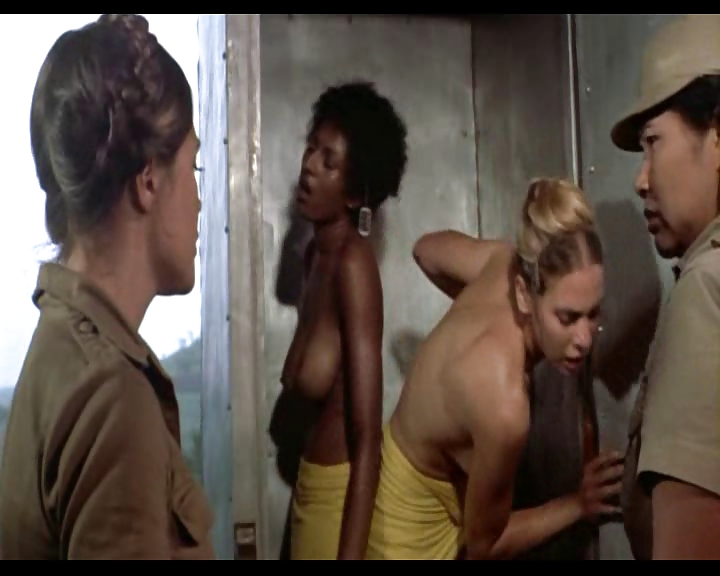 Pam Grier Ultimate Nude Collection #6318562