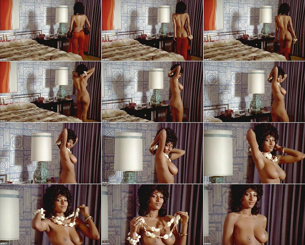 Pam Grier Ultimate Nude Collection #6319263