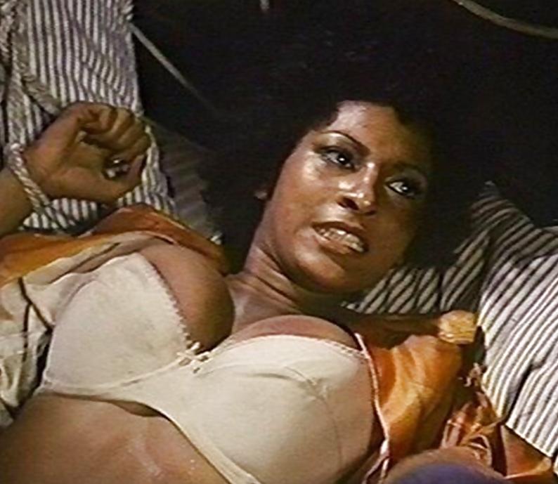 Pam Grier Ultimate Nude Collection #6319379