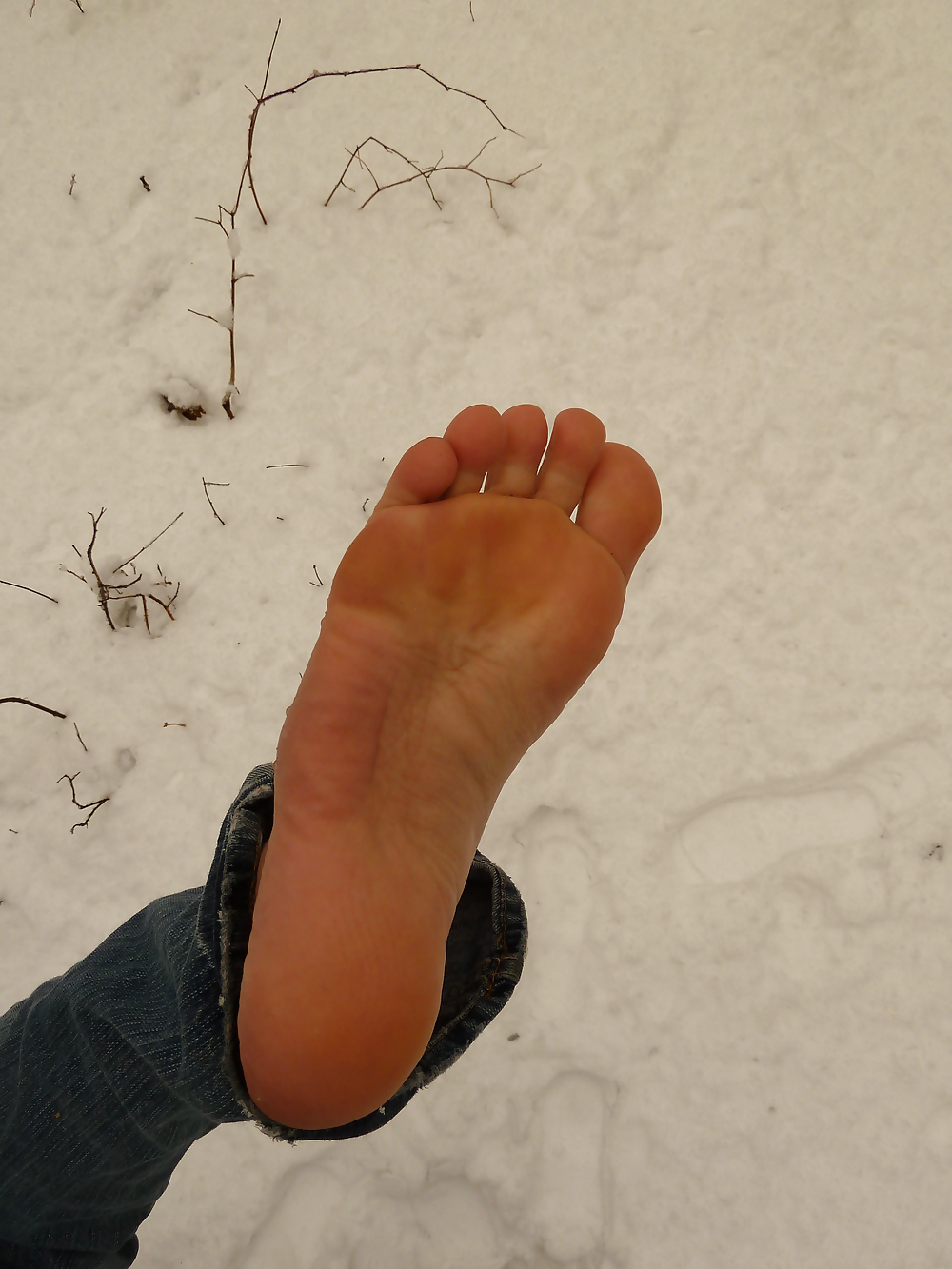 雪の中の足
 #8298984