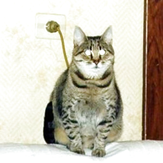 Submit Your Own Caption 5 #2433732