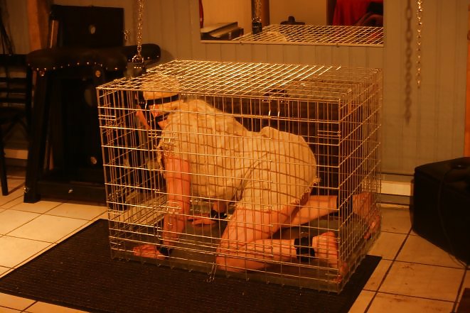 Sm und mehr..
 #21244050