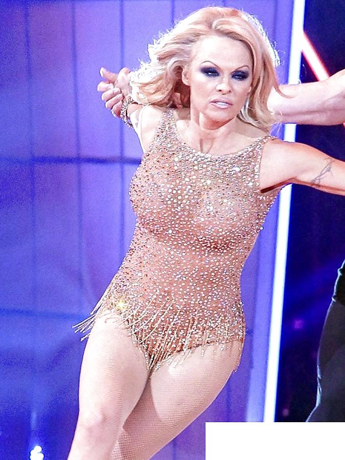 Pamela Anderson mega series 2 #10017426