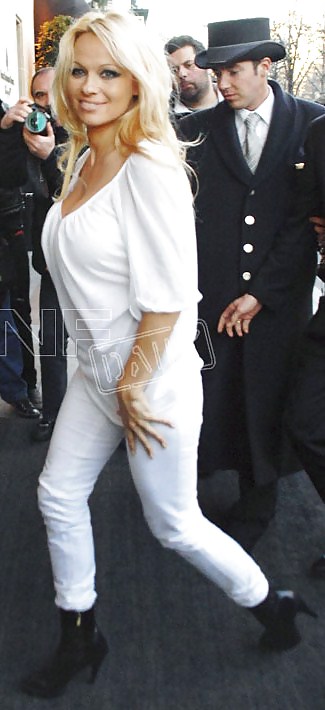 Pamela Anderson mega series 2 #10017472