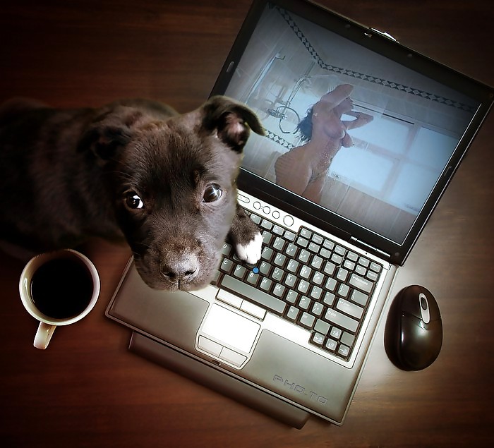 Photoshop sexo cándido
 #16819267