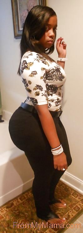 Real Curves #20255314