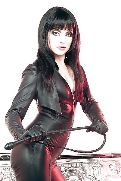 Domatrix iv
 #16022497