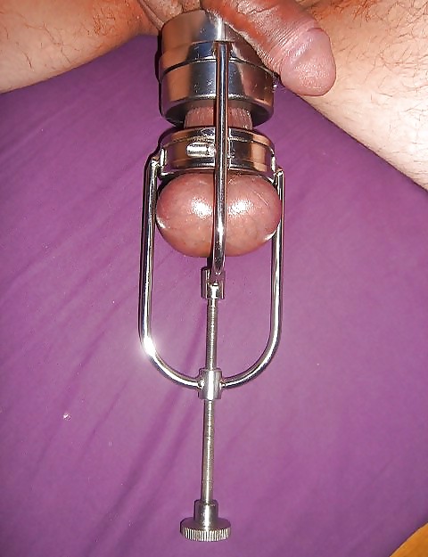 Domatrix iv
 #16022737