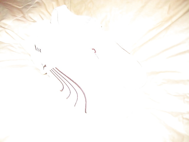 Meine puma sneakers
 #3119880