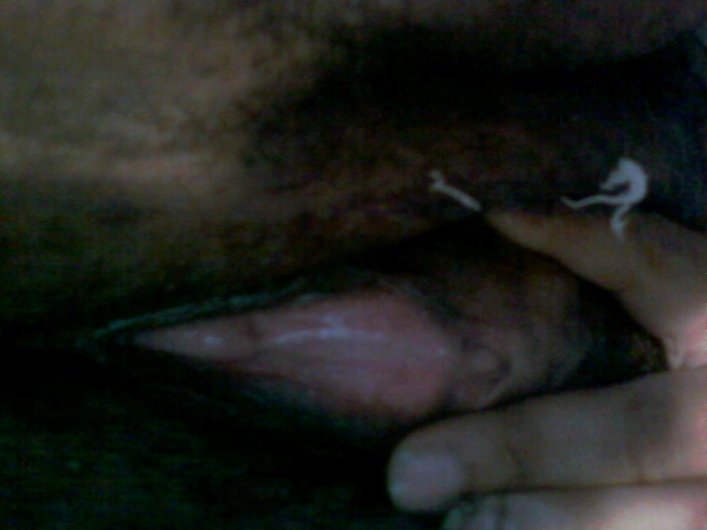 My little Philly #3837816