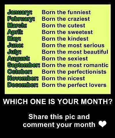 その他
 #17391505