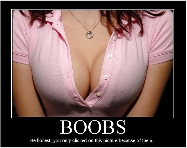 From the Moshe files: Boob Humour 2 #13595624
