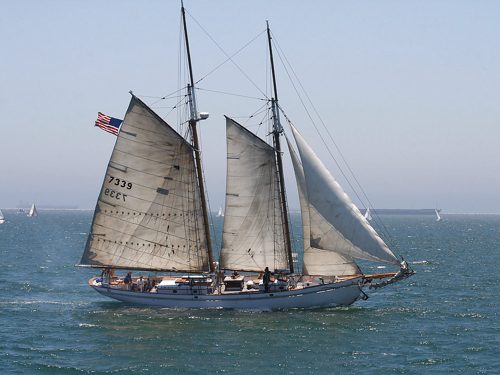 My schooner #17767120