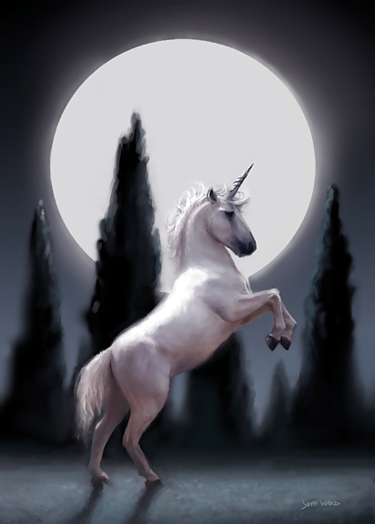 Unicorns #2446519