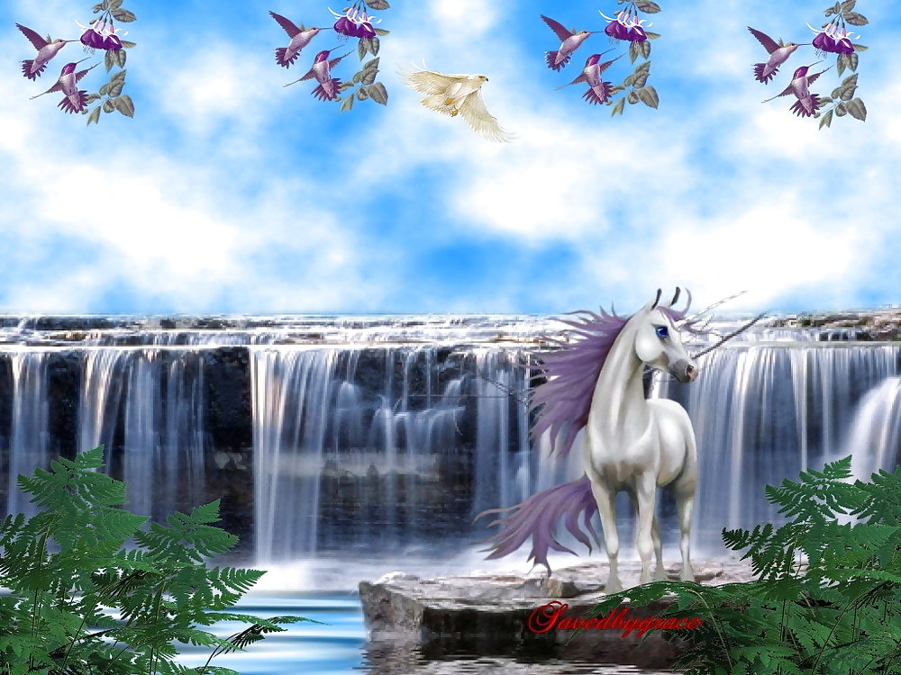 Unicorns #2446564