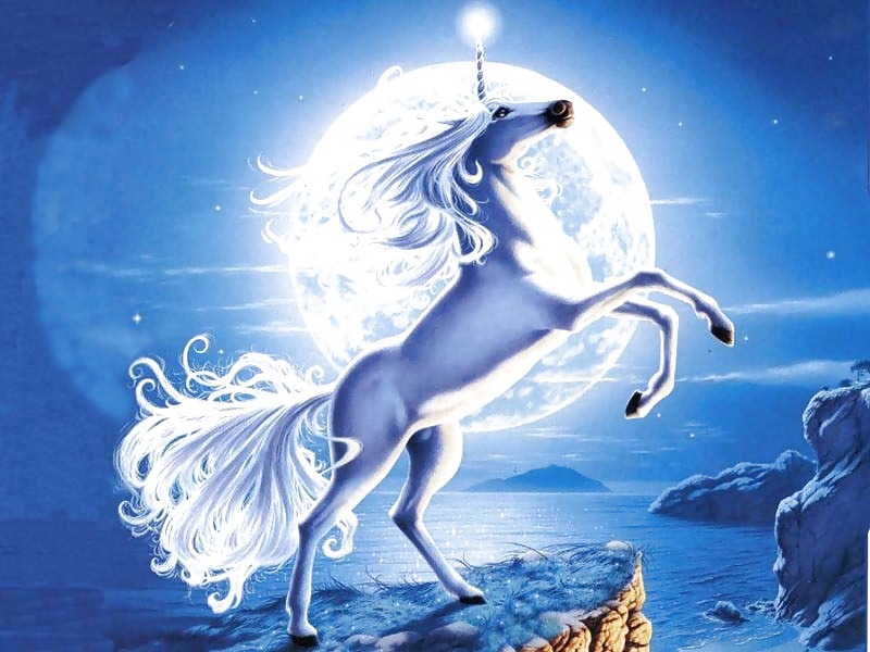 Unicorns #2446572