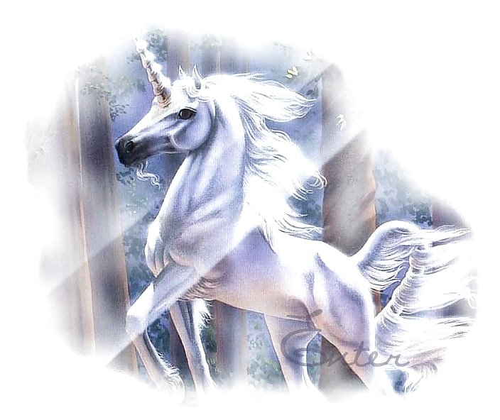 Unicorns #2446598