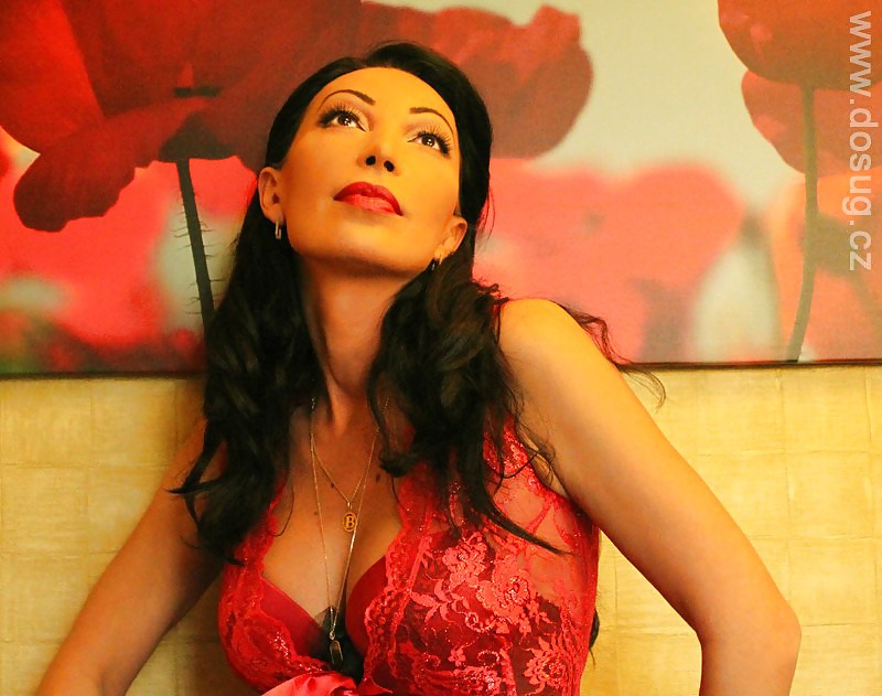 Sexy european tgirls
 #13163148