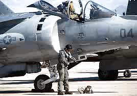 My line of work #12516692