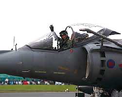 My line of work #12516705