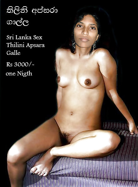 Sri Lankan #14535322