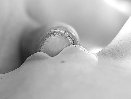 Erotic Art of licking a Cock - Session 1 #3139059