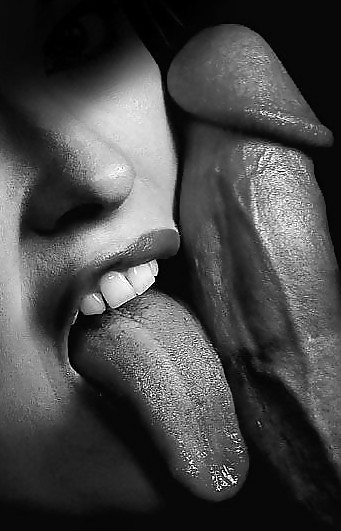 Erotic Art of licking a Cock - Session 1 #3139103